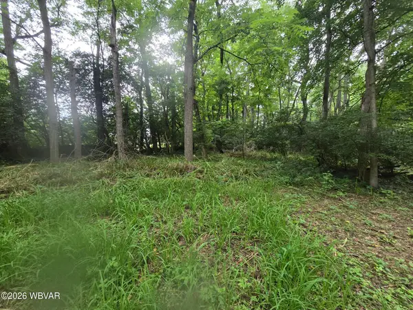 297 Ridge Road, Mill Hall, PA 17751