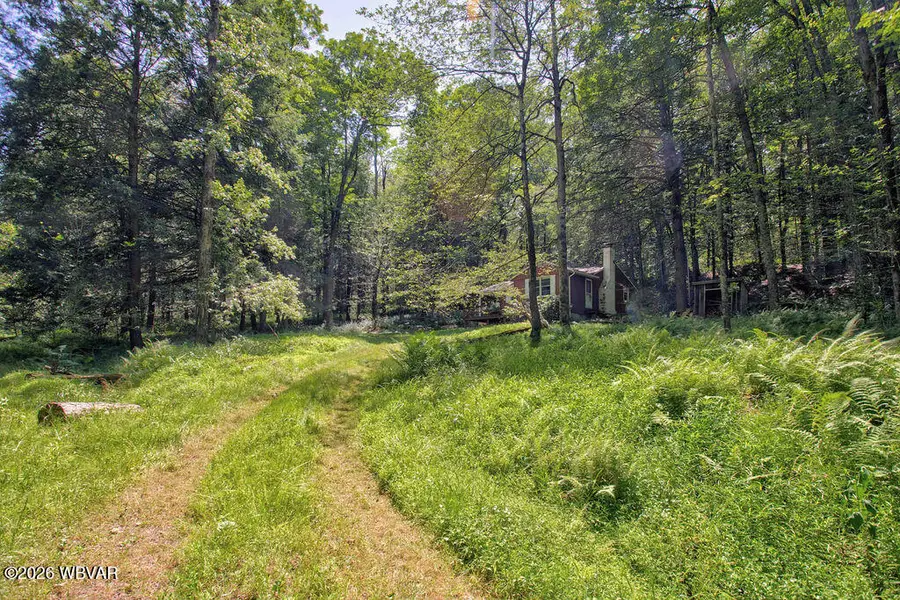 1461 Brunnerdale Road, Muncy Valley, PA 17758 - #2