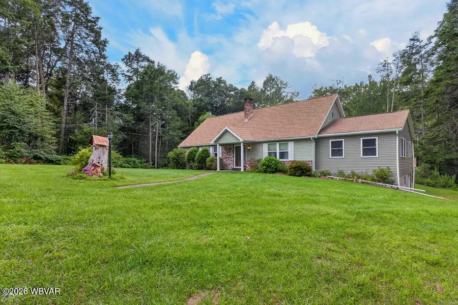 4631 Pennsylvania 87, Forksville, PA 18616 - #3