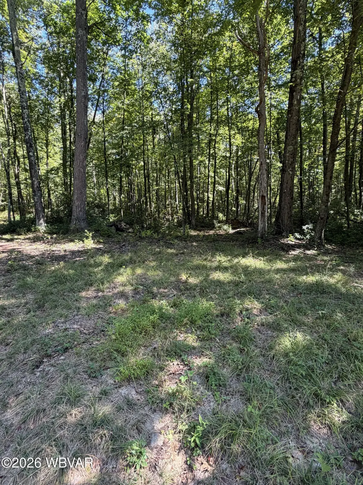 PARCEL 103 Pa-239, Benton, PA 17814 - #1