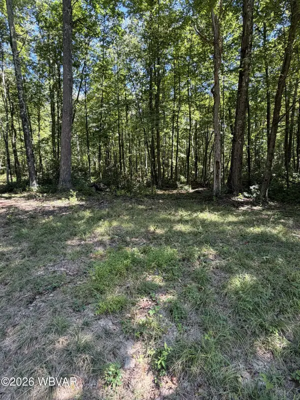 PARCEL 103 Pa-239, Benton, PA 17814