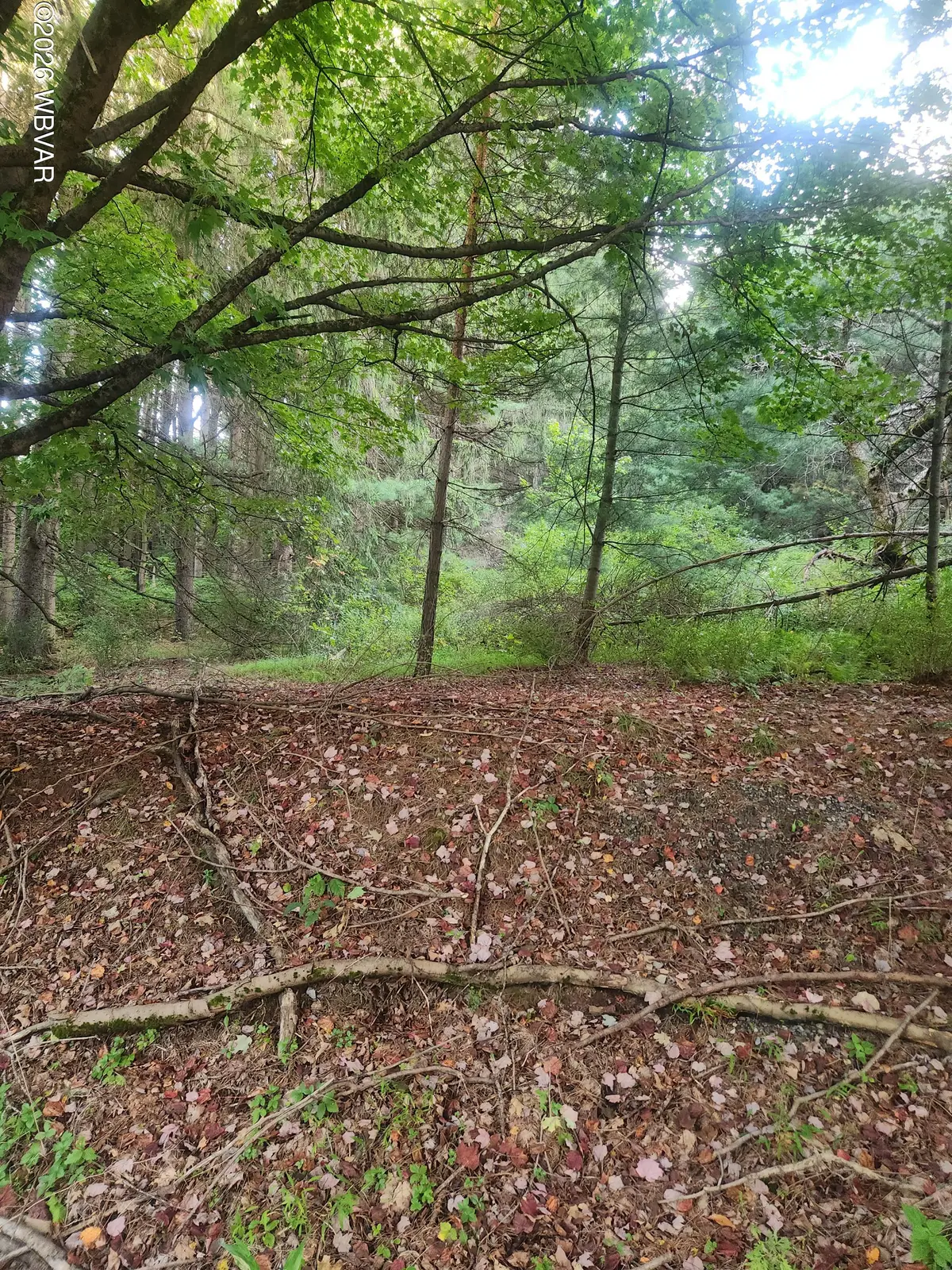 PARCEL 0010 Fairman Road, Muncy Valley, PA 17758 - #1