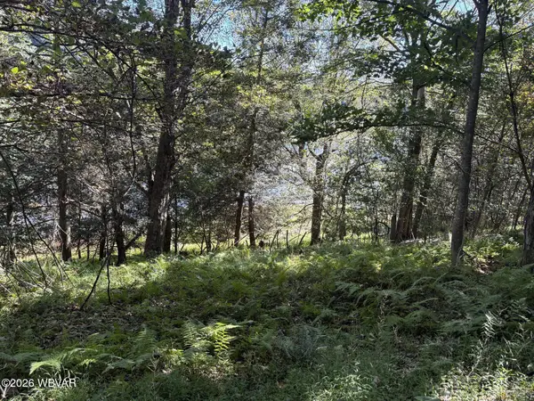 PARCEL 316 Lakeside Drive, Muncy Valley, PA 17758