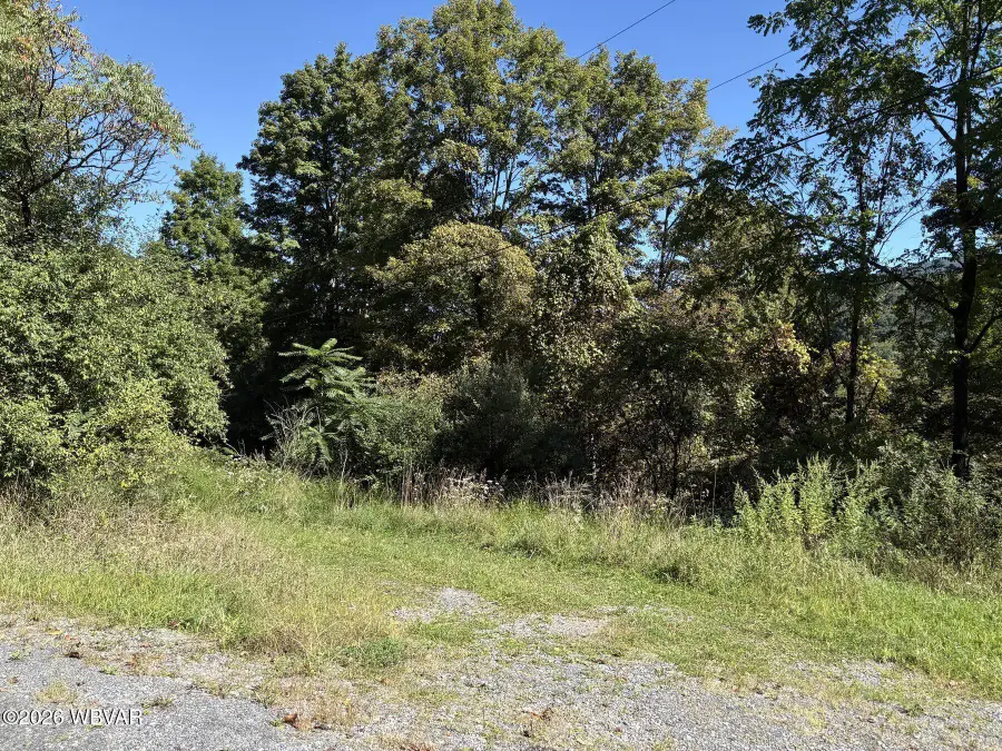 PARCEL 316 Lakeside Drive, Muncy Valley, PA 17758 - #2
