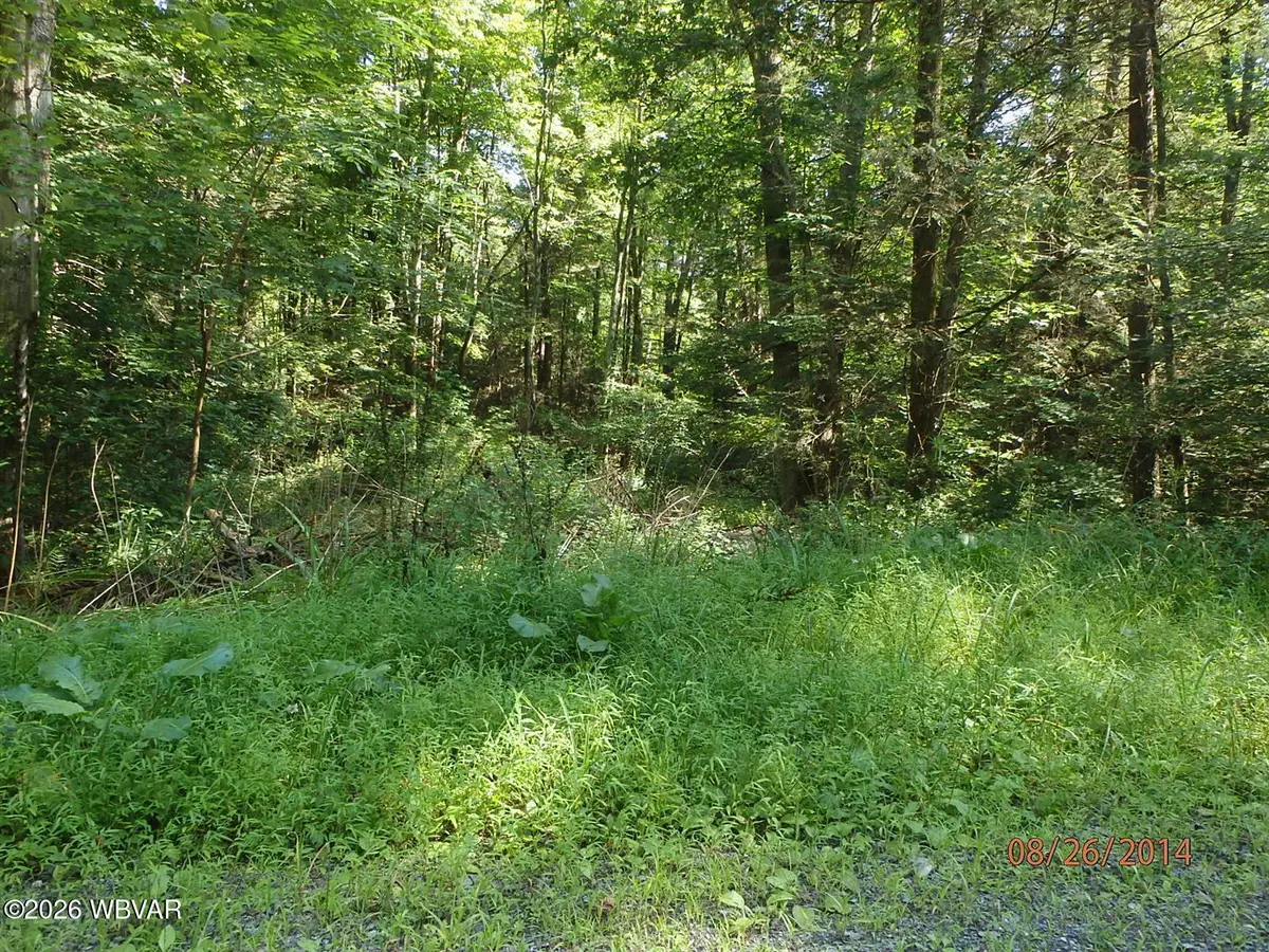 PARCEL 146 Smith Road, Muncy, PA 17756 - #1