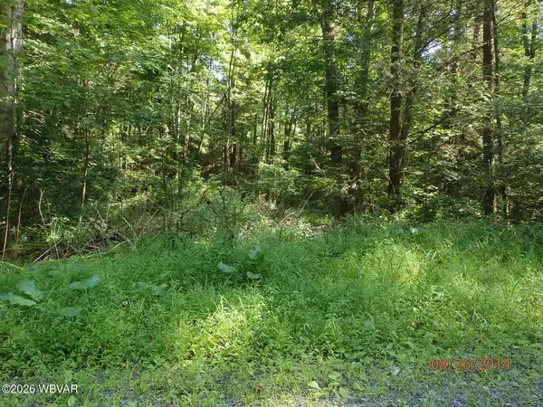 PARCEL 146 Smith Road, Muncy, PA 17756