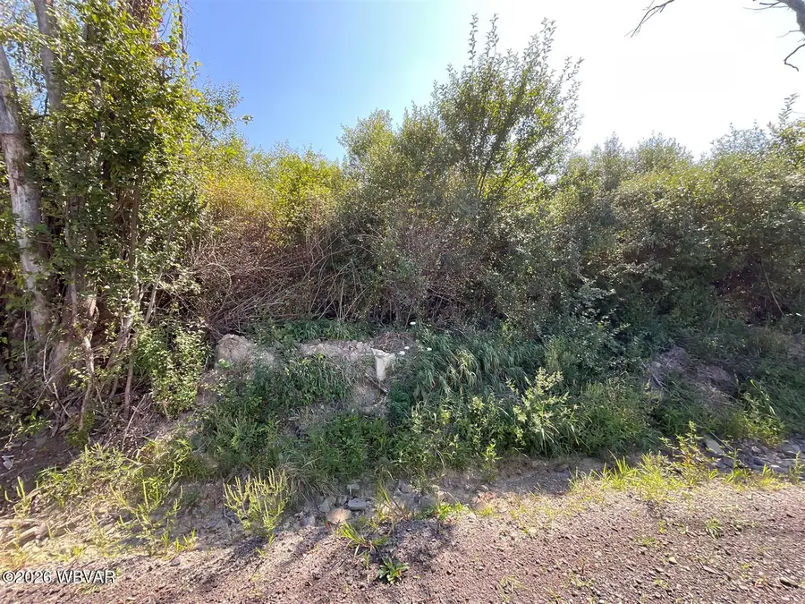 PARCEL 146 Smith Road, Muncy, PA 17756 - #2