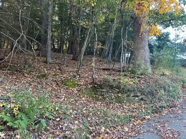 143 Yeagle Road, Hughesville, PA 17737 - #1