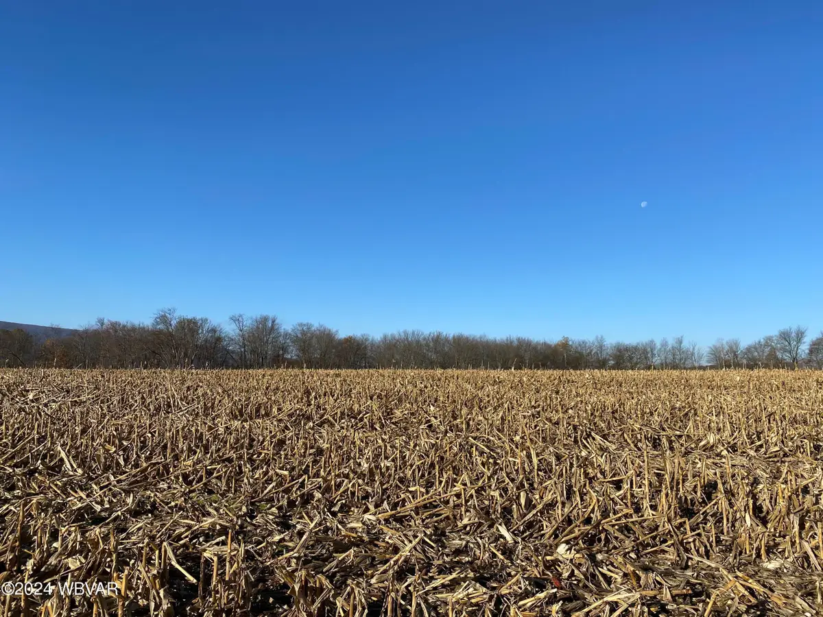 PARCEL 199.G Pond Road #27, Pennsdale, PA 17756 - #1