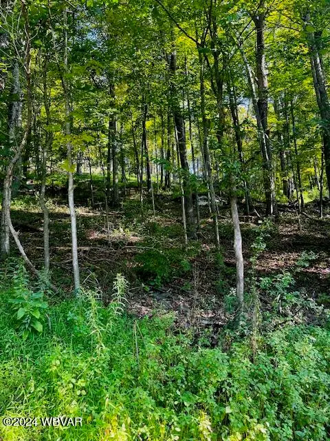 Saint Michaels Road, Cogan Station, PA 17728 - Image #1