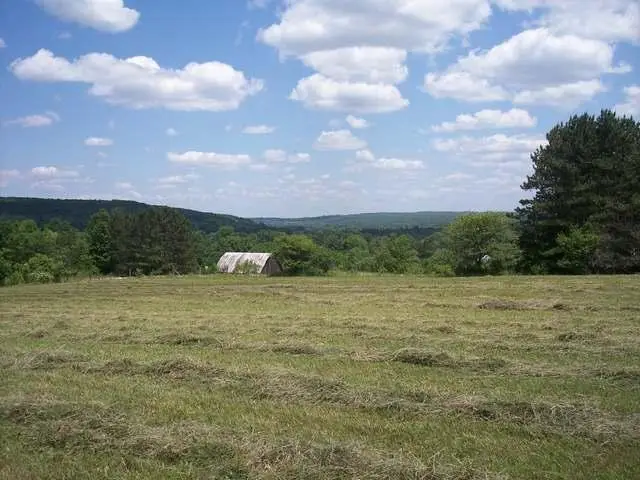 2 Maple, Sugar Grove, PA 16350 - #1