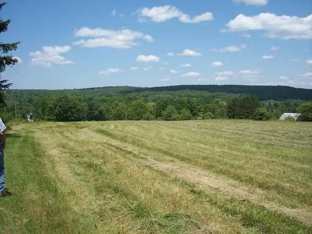 22 Maple, Sugar Grove, PA 16350 - #2