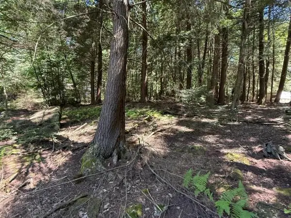 0 Barlett Lane, Clarendon, PA 16313