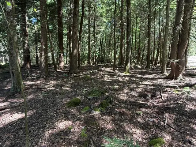 0 Barlett Lane, Clarendon, PA 16313 - #2