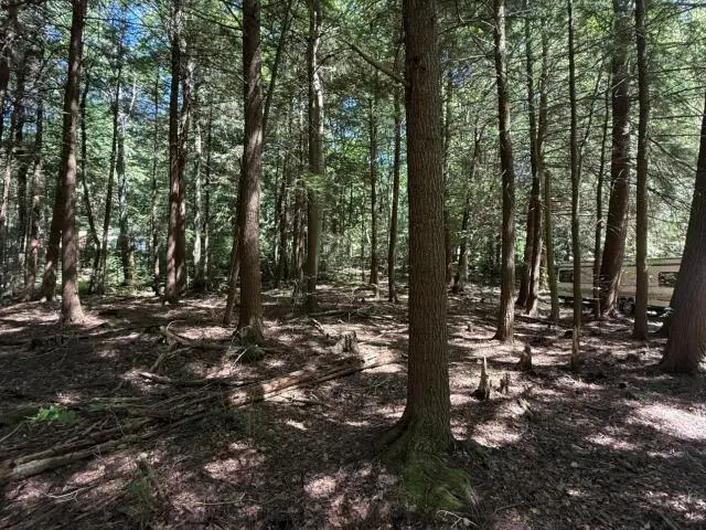 0 Barlett Lane, Clarendon, PA 16313 - #3