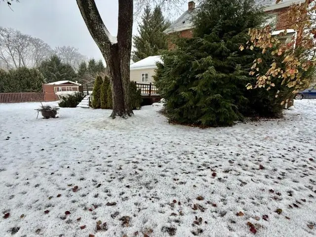 1105 Conewango Avenue, Warren, PA 16365 - #2