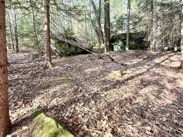 1120 Nebraska Rd, Tionesta, PA 16353 - #2