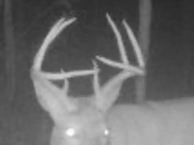 00 Scandia Road, Warren, PA 16365 - #3