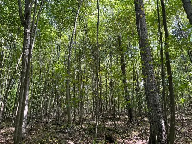 000 Hull Hill Road, Youngsville, PA 16371 - #2