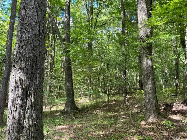 TBD Samuelson Road, Youngsville, PA 16371