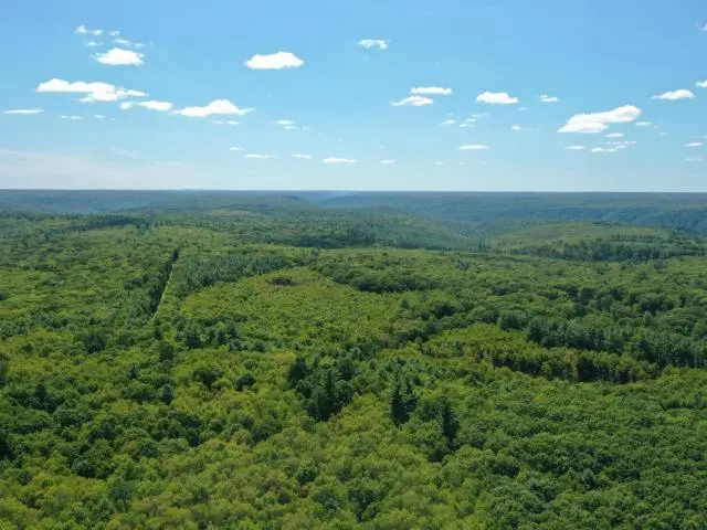 TBD Route 337, Tidioute, PA 16351 - #1