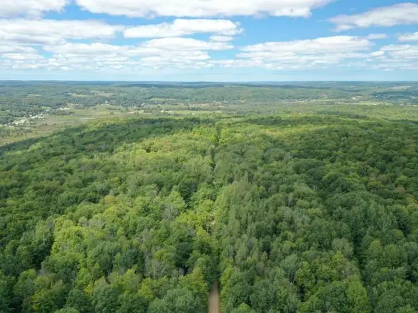 TBD Jones Hill Road, Sugar Grove, PA 16350