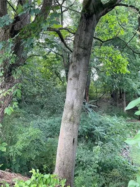 1747 Grant St, Aliquippa, PA 15001 - Image #2