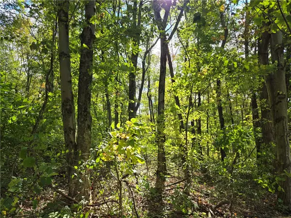 000 Lot 24 Dally Road, Long Branch Boro, PA 15423