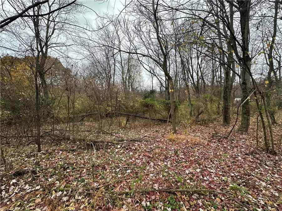 147 Valley Street, Derry Township, PA 15627 - Image #3