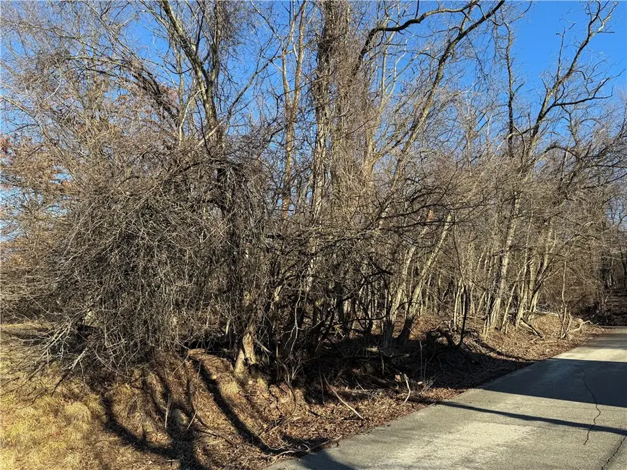 LOT Park Ave, Braddock Hills, PA 15221 - Image #3