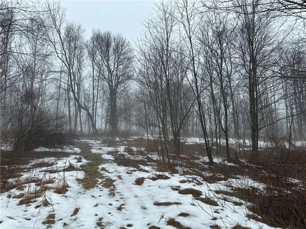 442 Bruceton Road, Henry Clay, PA 15459 - Image #1