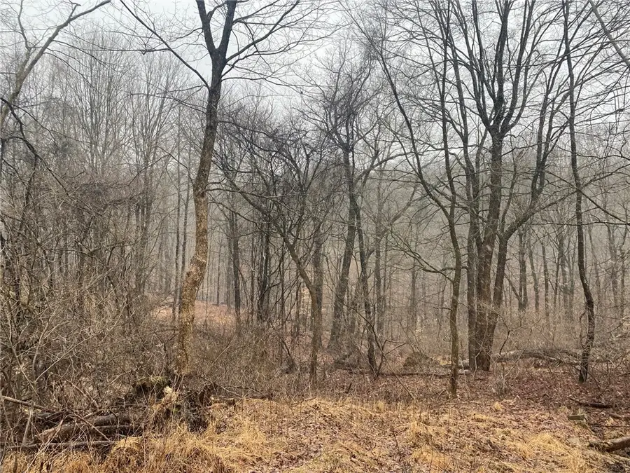 . Old Ramsey Rd, Chattanooga, PA 15146 - Image #3