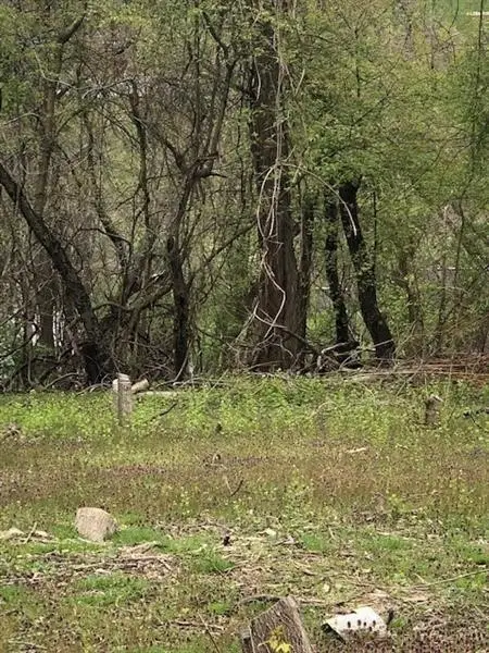 07 Ridge Rd, South Park, PA 15129 - Image #1