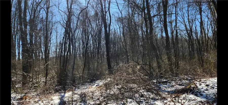 0 Nebo Rd, Champion, PA 15622 - Image #3