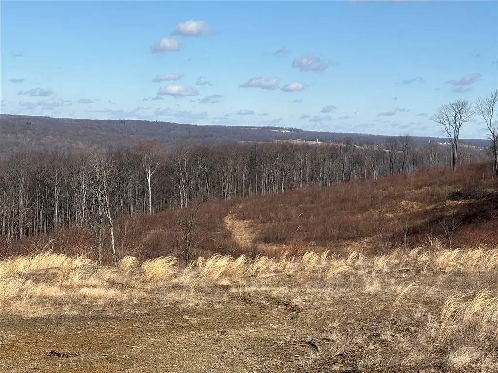 Lot Auction Ln, East Wheatfield, PA 15954 - Image #1