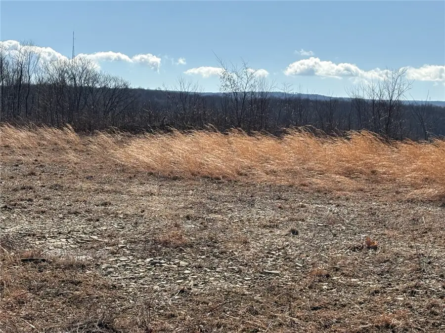 Lot Auction Ln, East Wheatfield, PA 15954 - Image #2