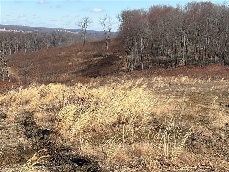 Lot Auction Ln, East Wheatfield, PA 15954 - Image #3