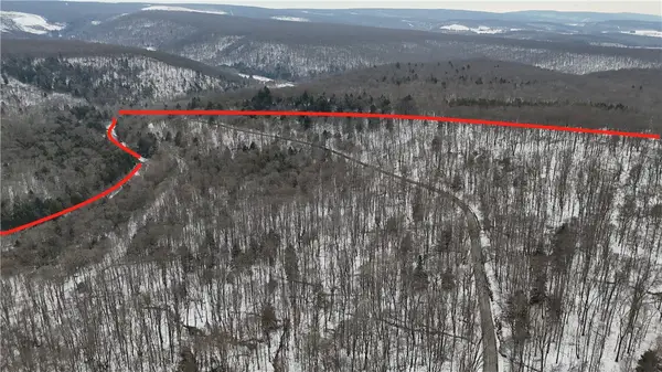 00 Rexis Rd, Brush Val/Buffington, PA 15961