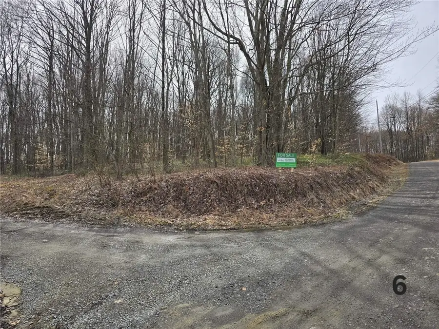 0 Lutheran Church Rd, Kiskiminetas, PA 15613 - Image #3