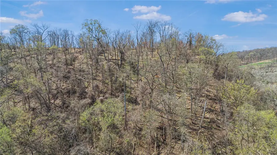 550 Division Lane, Vanport, PA 15009 - Image #2