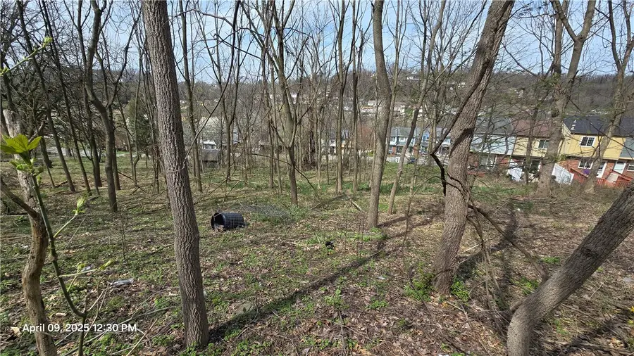 0 Shadowlawn Dr, Whitehall, PA 15227 - Image #3