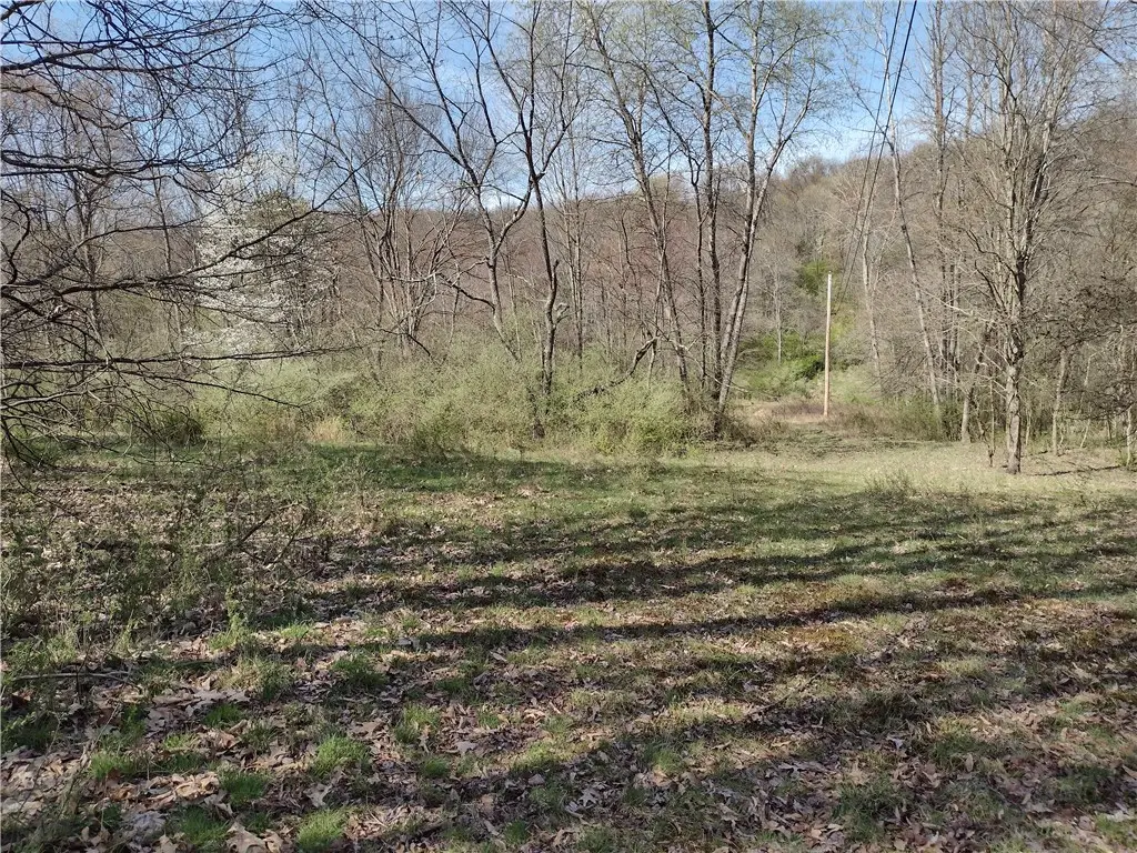 00 Tenacity Trail Off Wright Rd, Adams, PA 16046 - Image #1