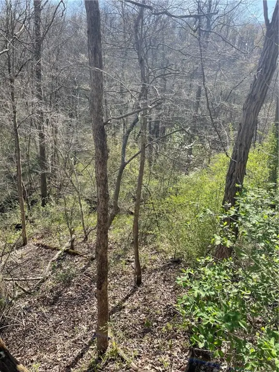 SR166 Thompson 1 Rd, Fairbank, PA 15468 - Image #2