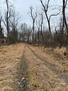 3337 Washington Pike, South Fayette, PA 15017 - Image #2