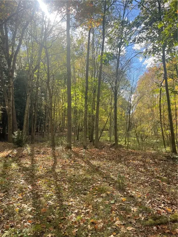 0 Mcchesney Way, Grove City, PA 16127 - #1