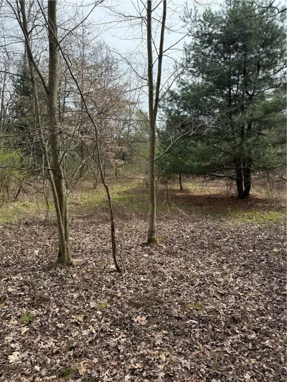 0 Walker Farm Rd, Rimersburg, PA 16248 - Image #3