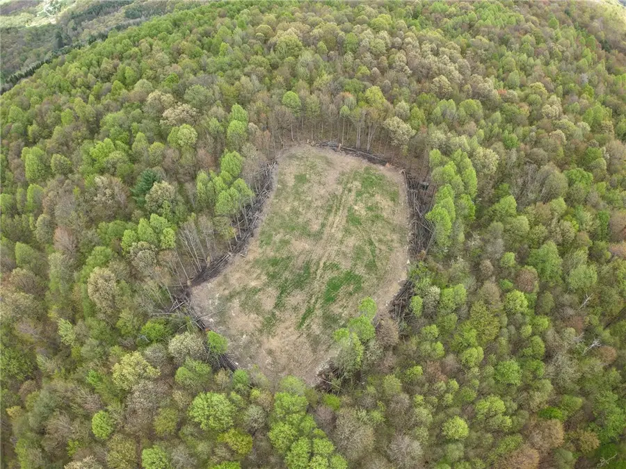 0 Lower Mudlic Rd, Redbank, PA 16240 - Image #2