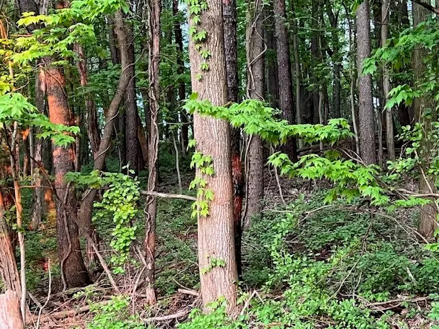 0 Jane St, Jeannette, PA 15644 - Image #2