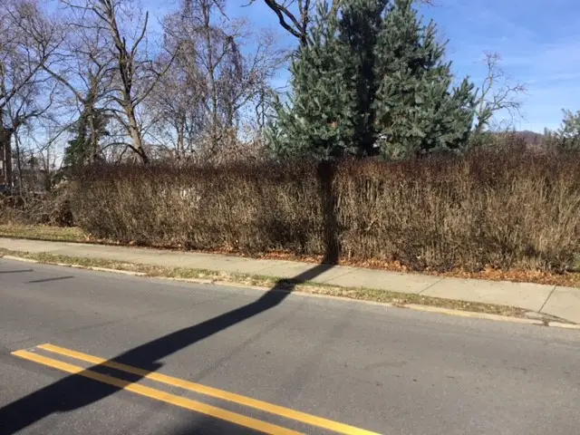 1411 State Street, Coraopolis, PA 15108 - Image #3