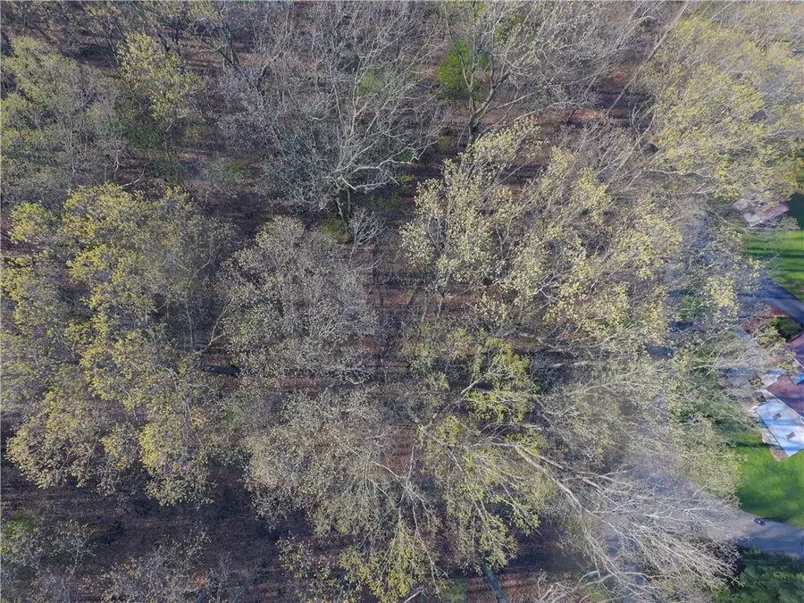 0 Swallow Rd, Loyalhanna Township, PA 15670 - Image #3